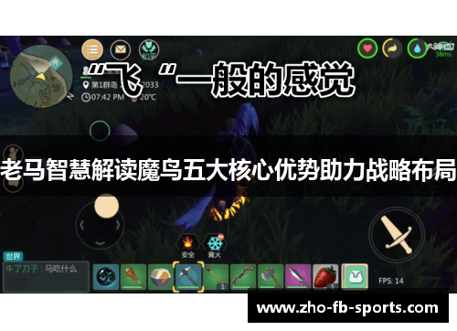 老马智慧解读魔鸟五大核心优势助力战略布局