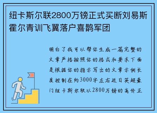 纽卡斯尔联2800万镑正式买断刘易斯霍尔青训飞翼落户喜鹊军团